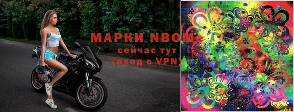 стафф Куйбышев