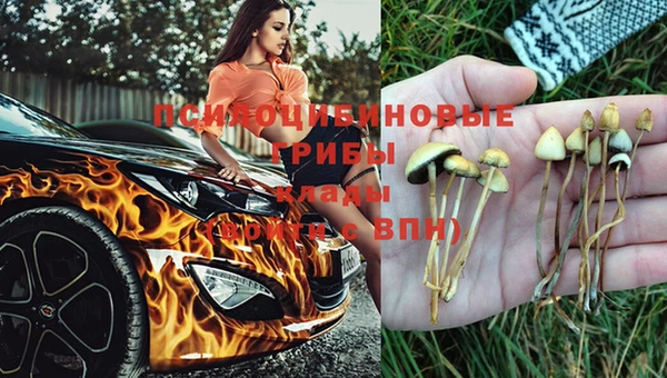 стафф Куйбышев