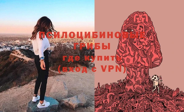 стафф Куйбышев
